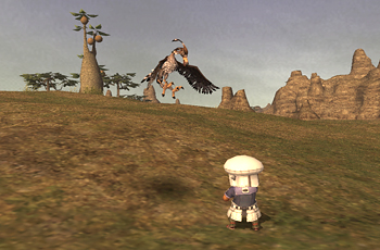 gaku0805272.jpg